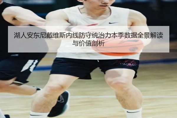 湖人安东尼戴维斯内线防守统治力本季数据全景解读与价值剖析